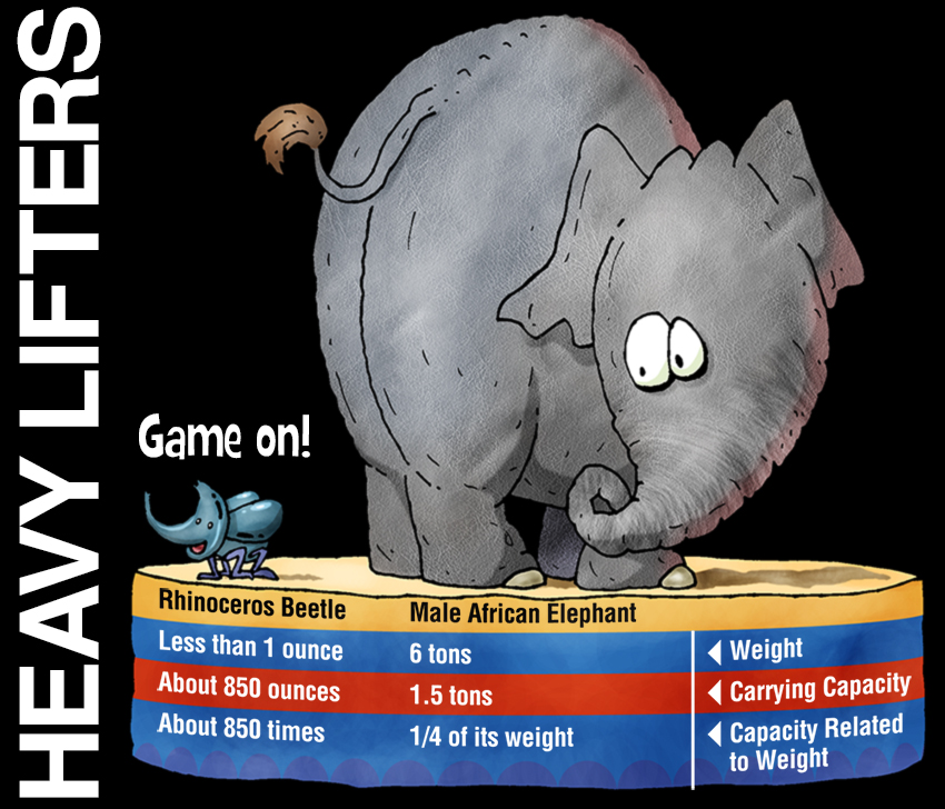 Heavy Lifters of the Animal Kingdom (Michael Kline)