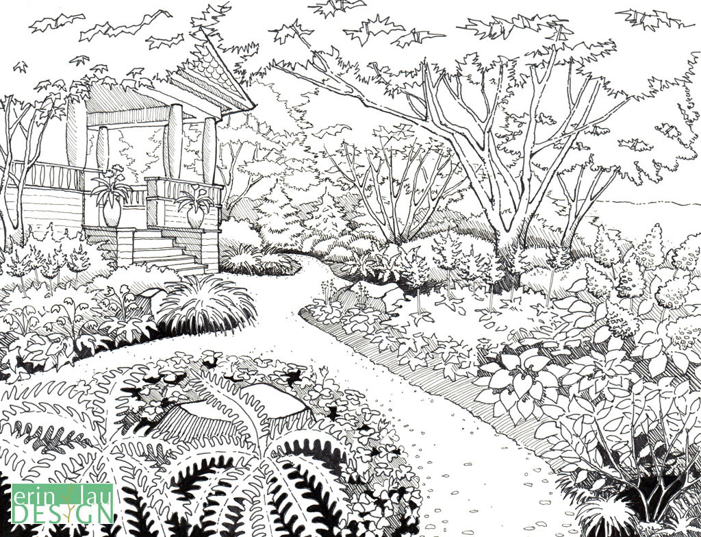 Garden Drawing Details DrawnToGarden