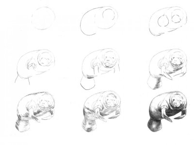 что нарисовать человеку который не умеет рисовать