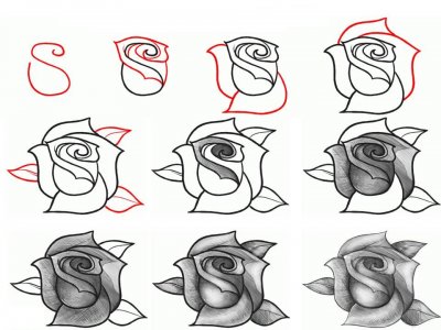 что нарисовать человеку который не умеет рисовать