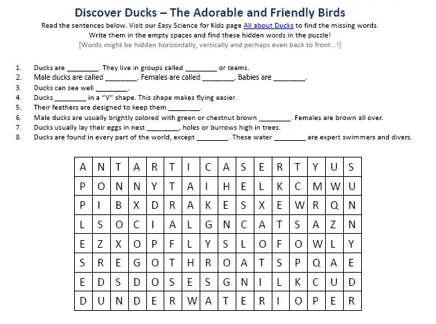 Duck Birds Science Facts Worksheet Image Easy Science