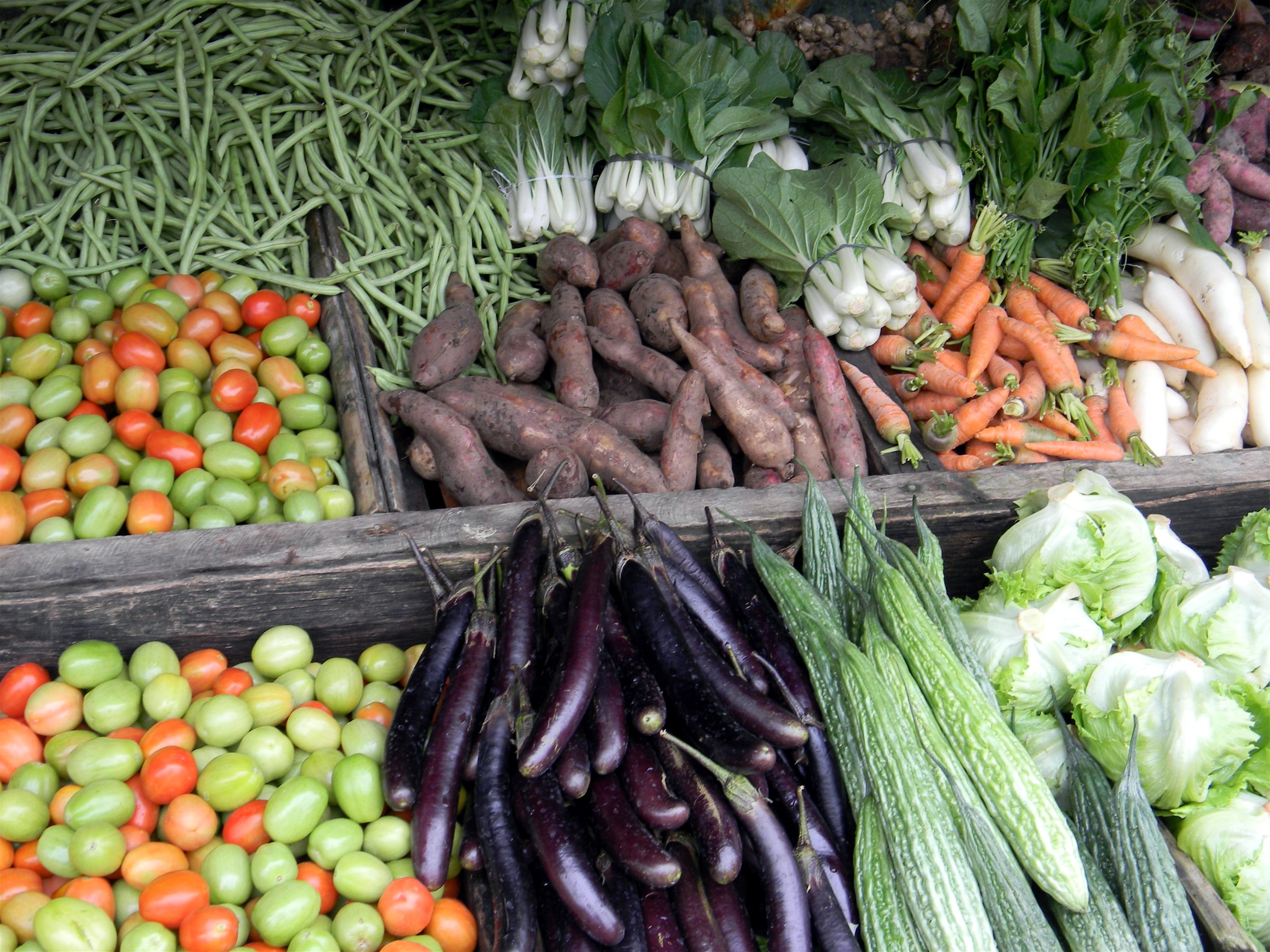 HEALTH VEGETABLE GARDENING BEATS MALNUTRITION Edge Davao