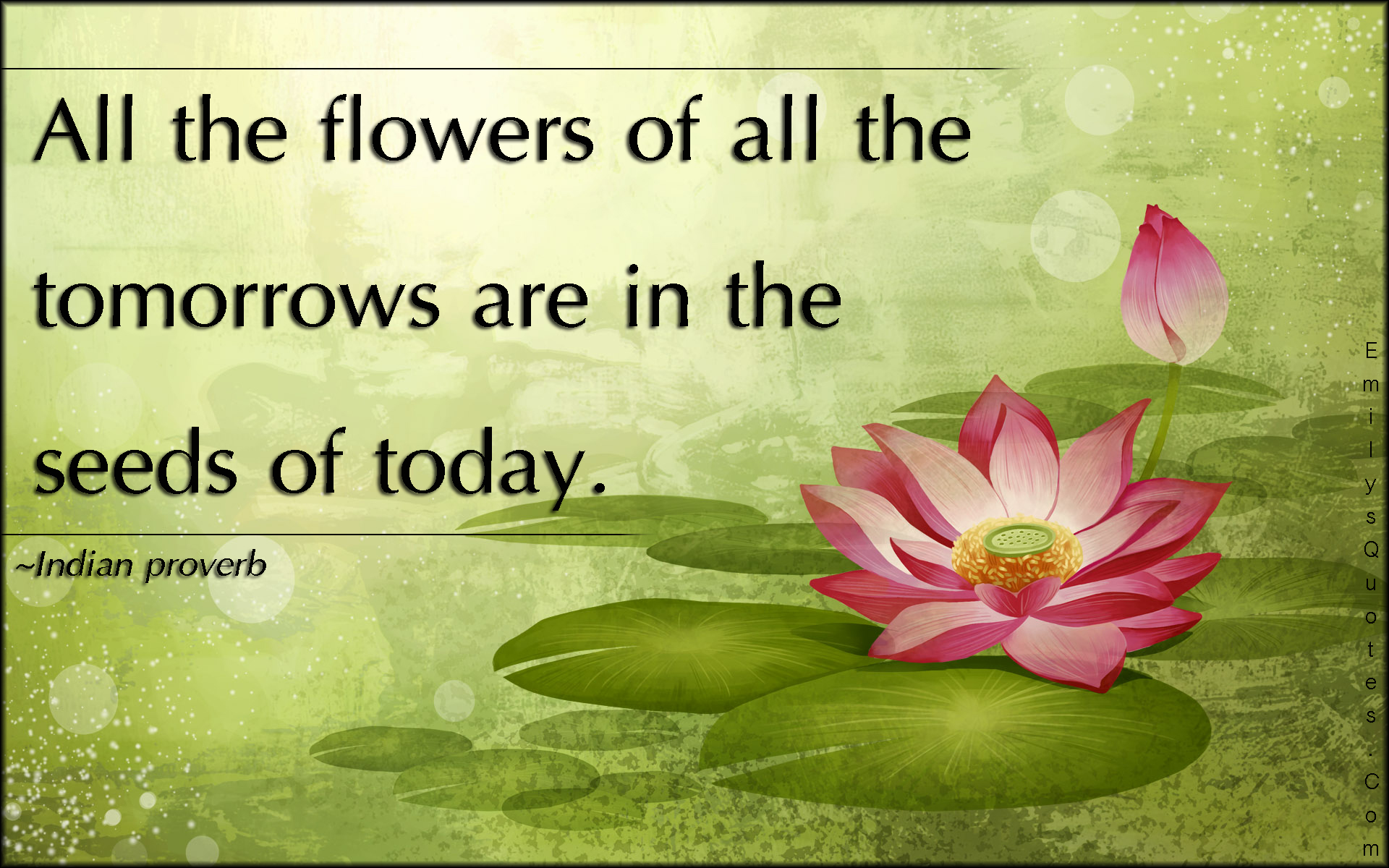 All the flowers of all the tomorrows are in the seeds of today Popular inspirational quotes at