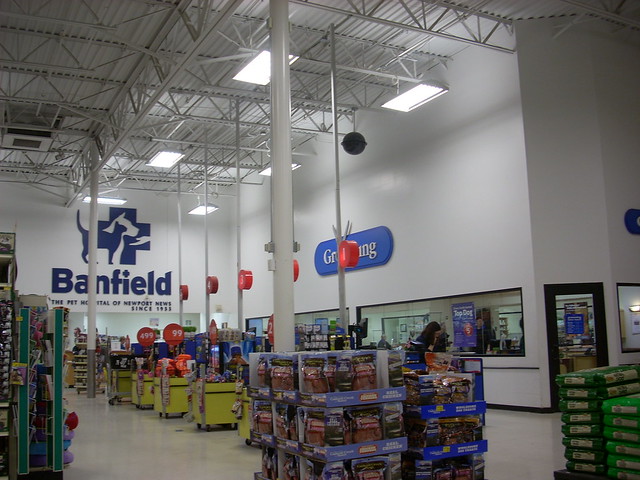 PetSmart interior Flickr Photo Sharing!