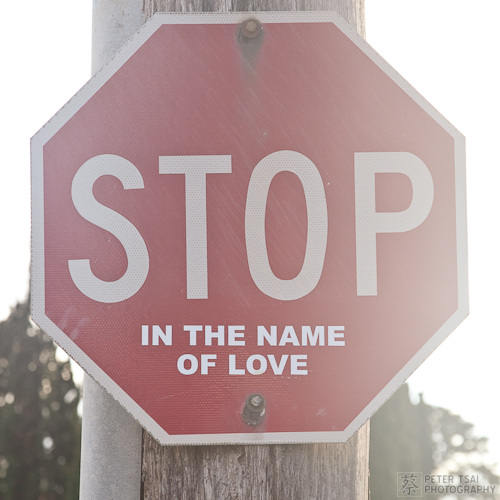STOP in the name of love Flickr Photo Sharing!