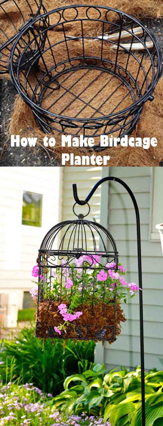 Amazing Collection of EyeCatching Birdcage Planters for