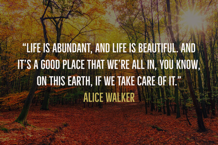 85 Life Is Beautiful Quotes Planet Of Success