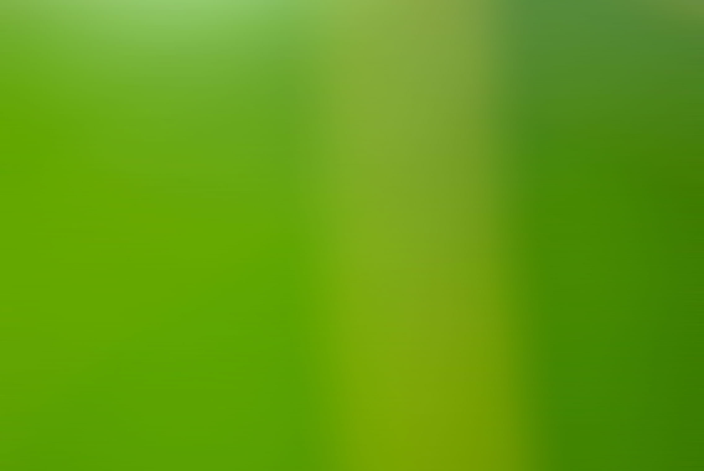 Fondo color verde agua Imagui