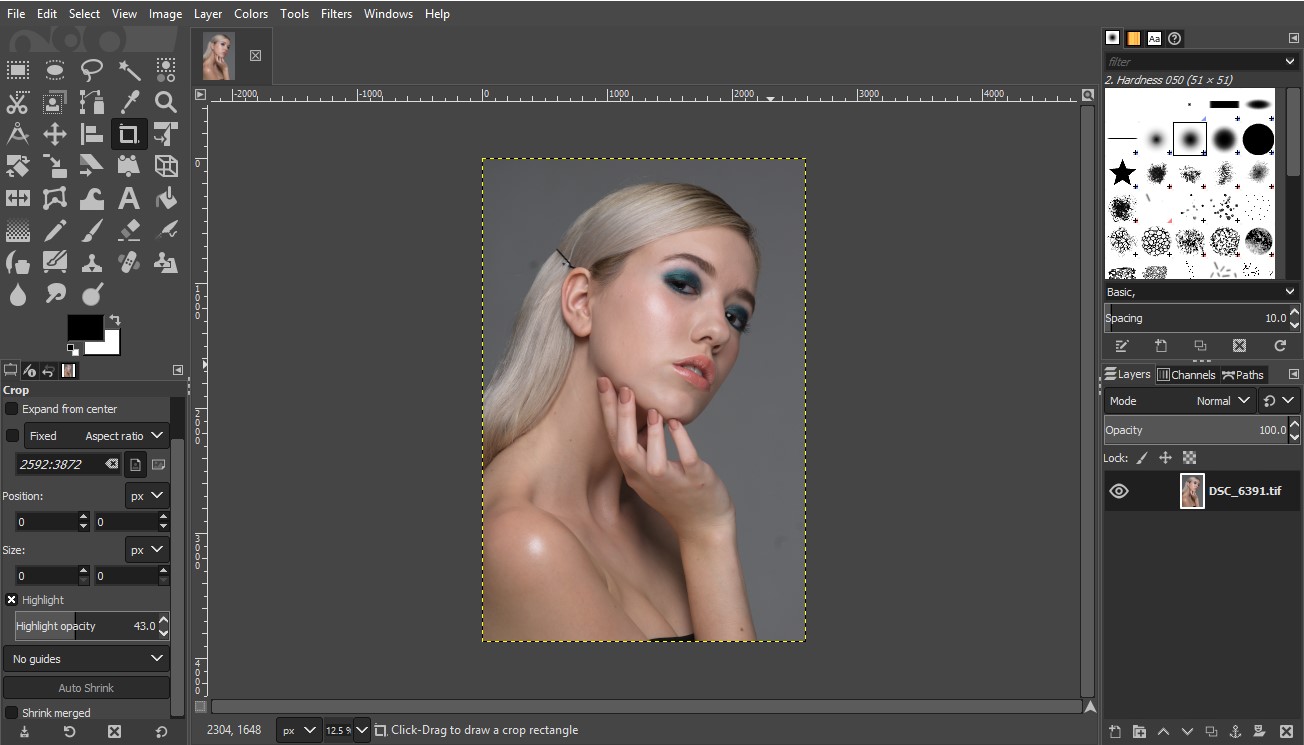 GIMP Review Expert GIMP Editor Review by FixThePhoto