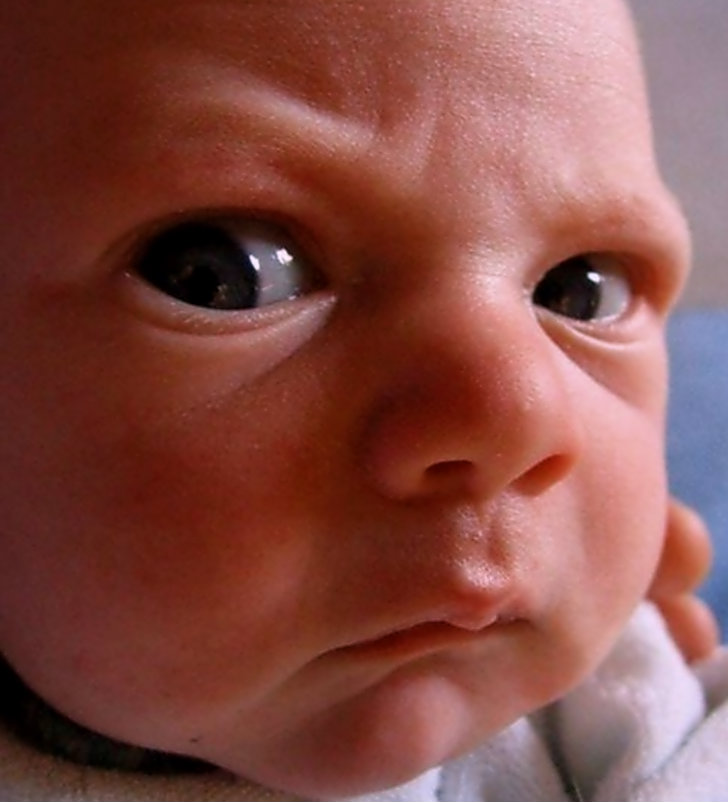 Dr. Fenster Helps Answer Some Baby Questions FM Observer Fargo Moorhead Satire News and