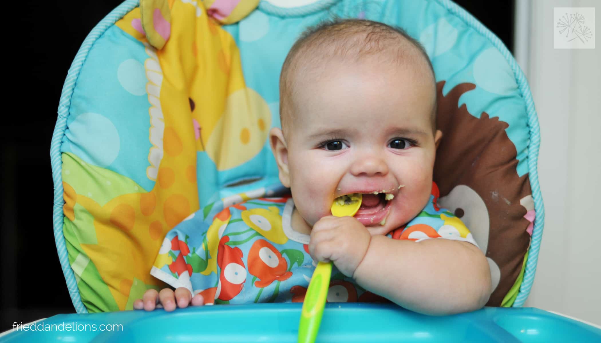 Baby's First Solids—Halloween Edition, and a Giveaway! Fried Dandelions