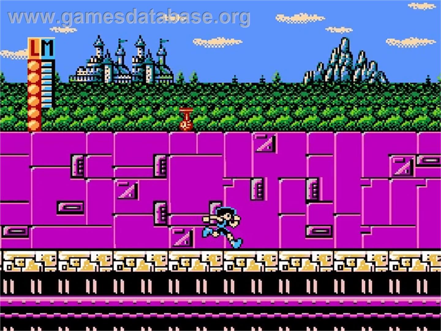 Totally Rad Nintendo NES Games Database