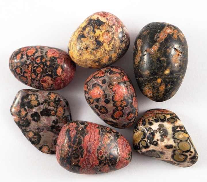 Meanings, Properties, and Benefits About Leopard Skin Jasper Gemstagram