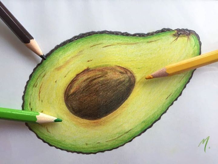 Avocado Drawing at GetDrawings Free download