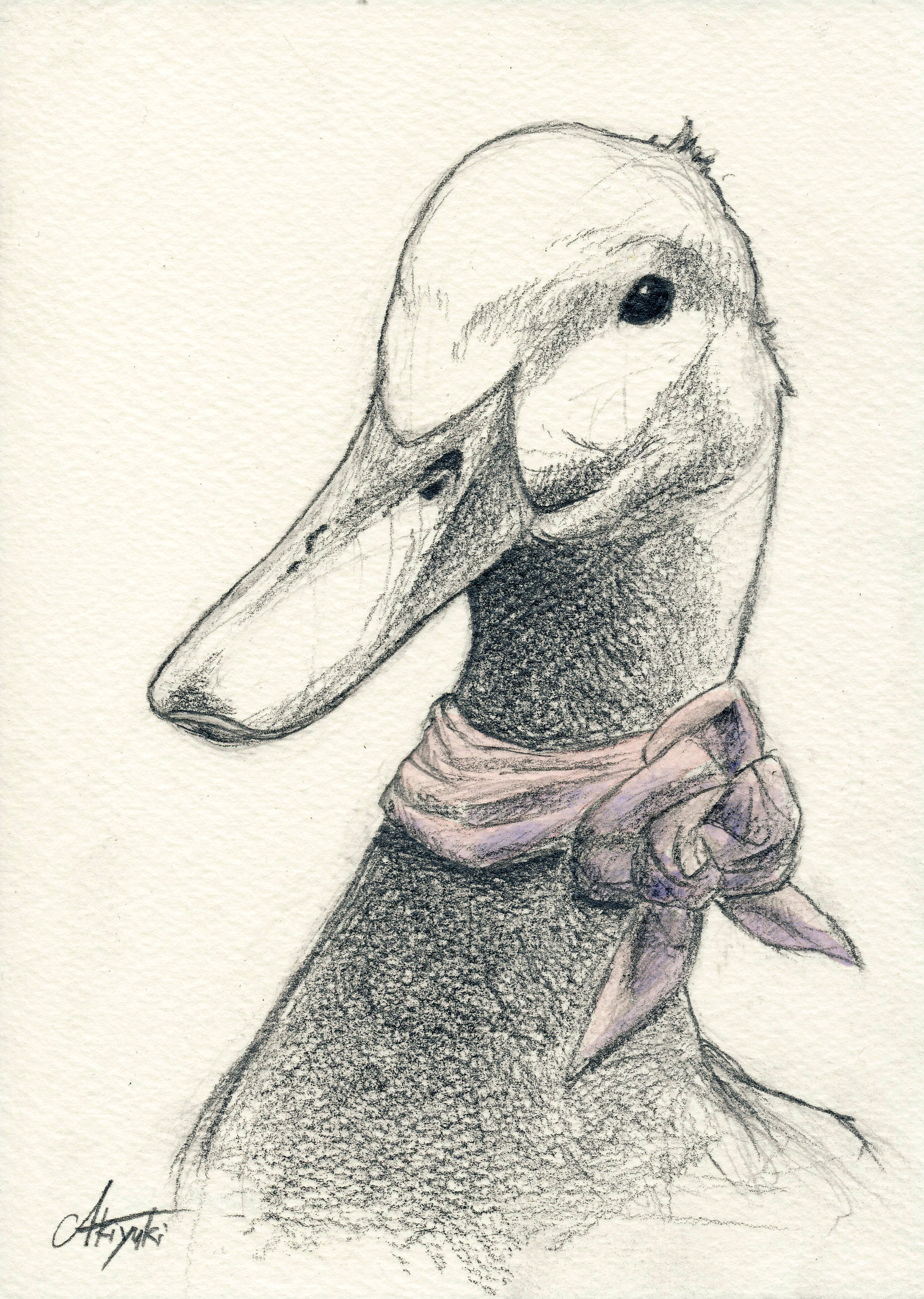 Duck Head Drawing at GetDrawings Free download