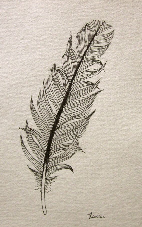 Feather Drawing Simple at GetDrawings Free download