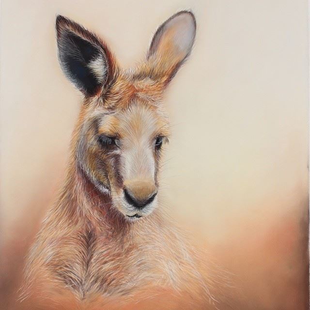Kangaroo Drawing at GetDrawings Free download
