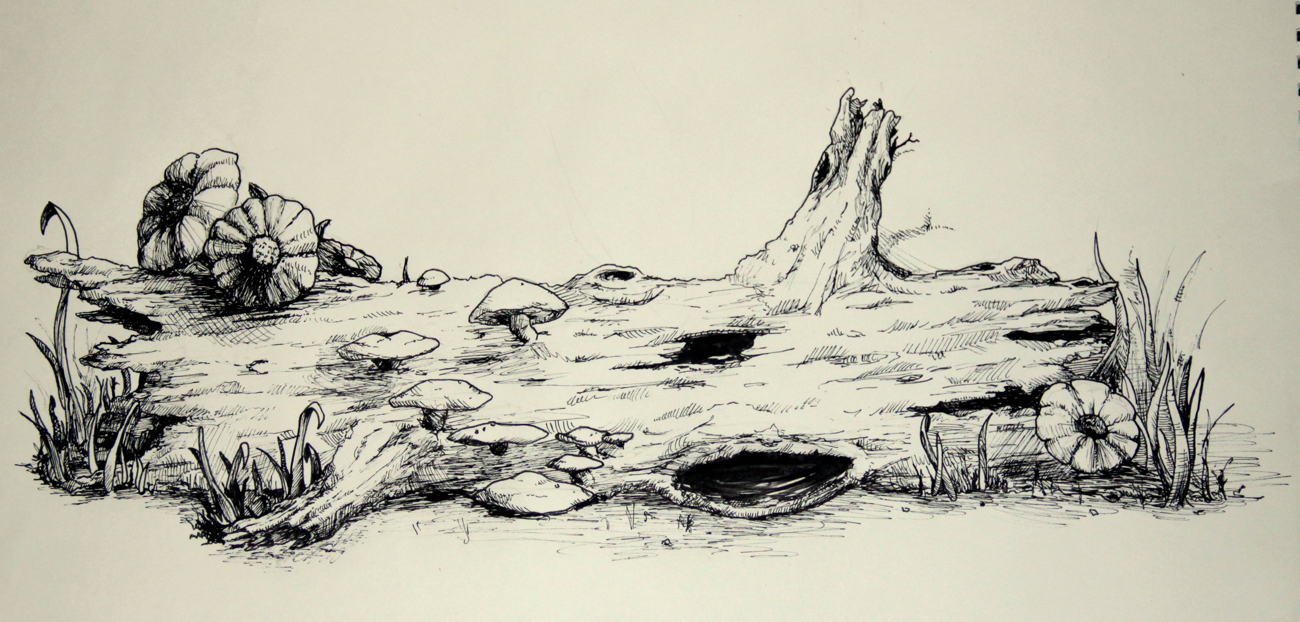 Log Drawing at GetDrawings Free download