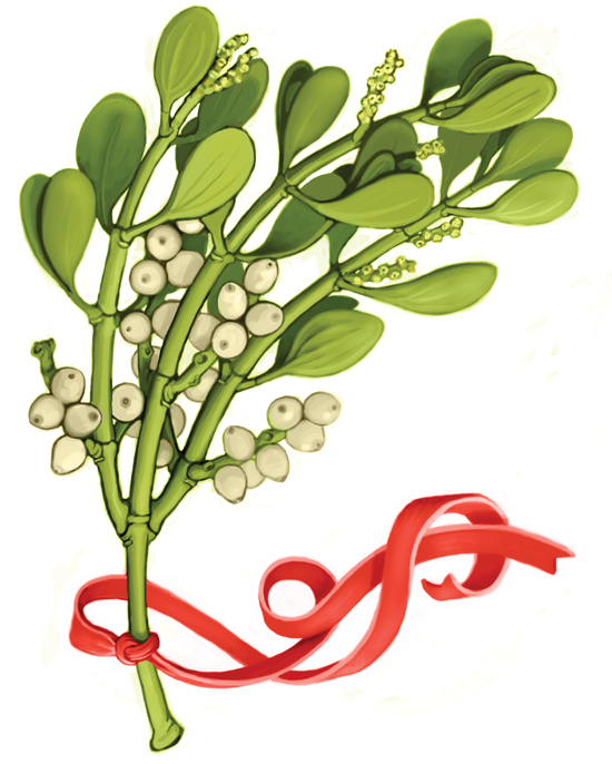 Mistletoe Drawing at GetDrawings Free download