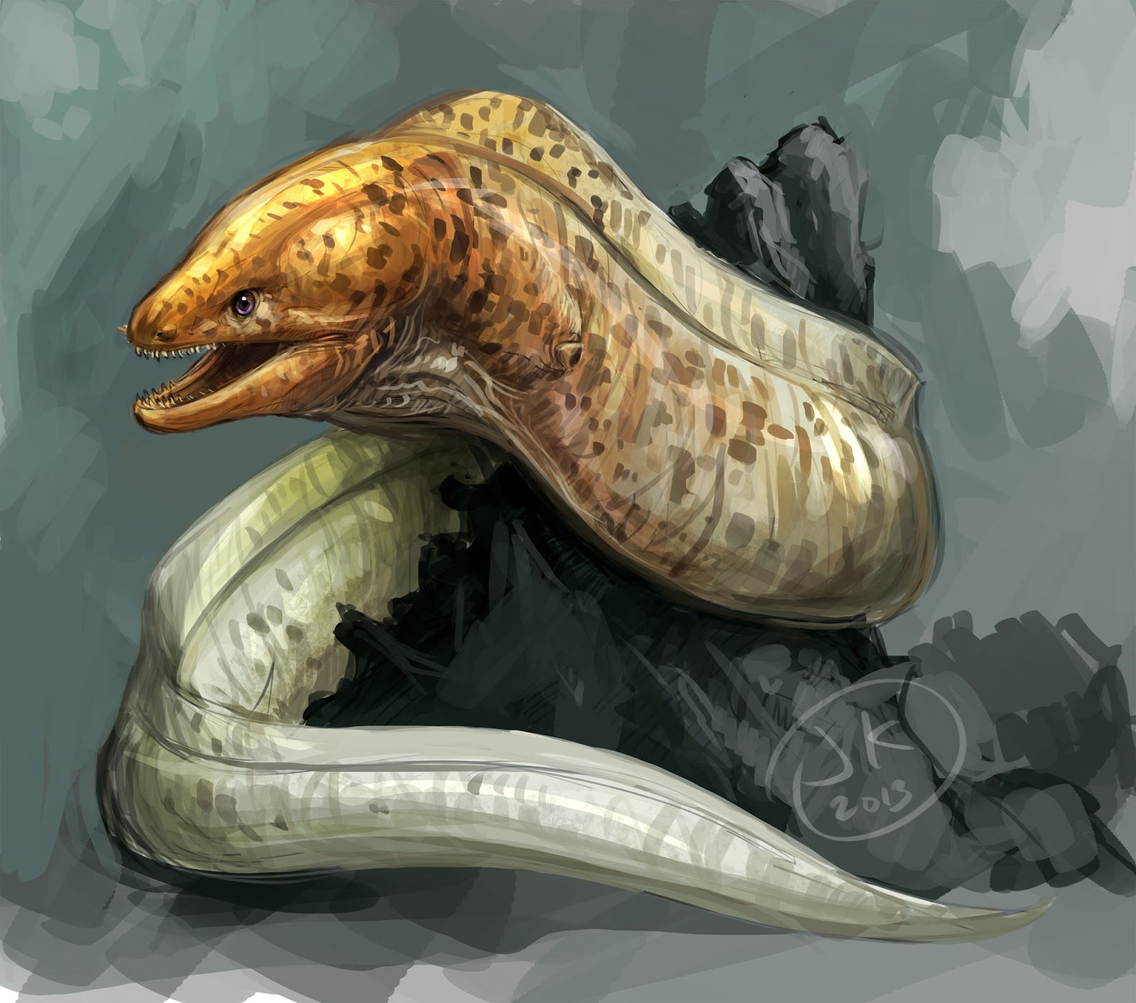Moray Eel Drawing at GetDrawings Free download
