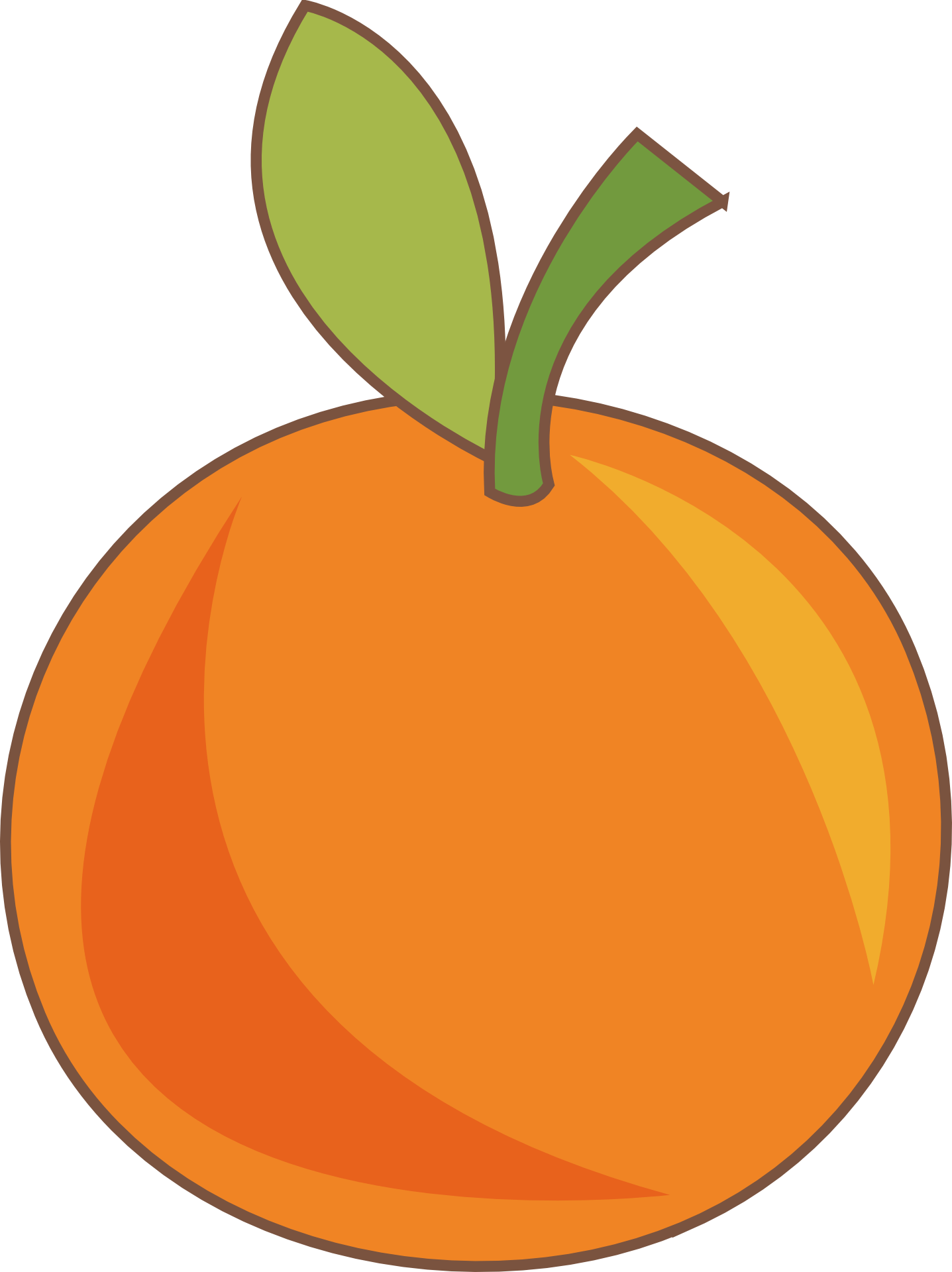 Orange Fruit Drawing at GetDrawings Free download