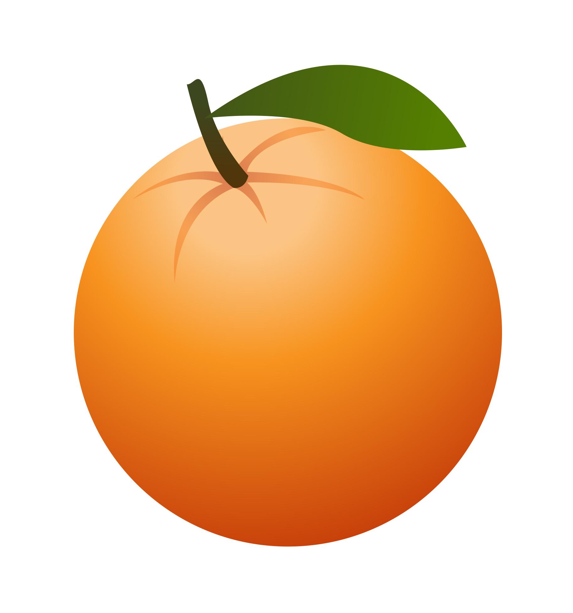 Orange Fruit Drawing at GetDrawings Free download