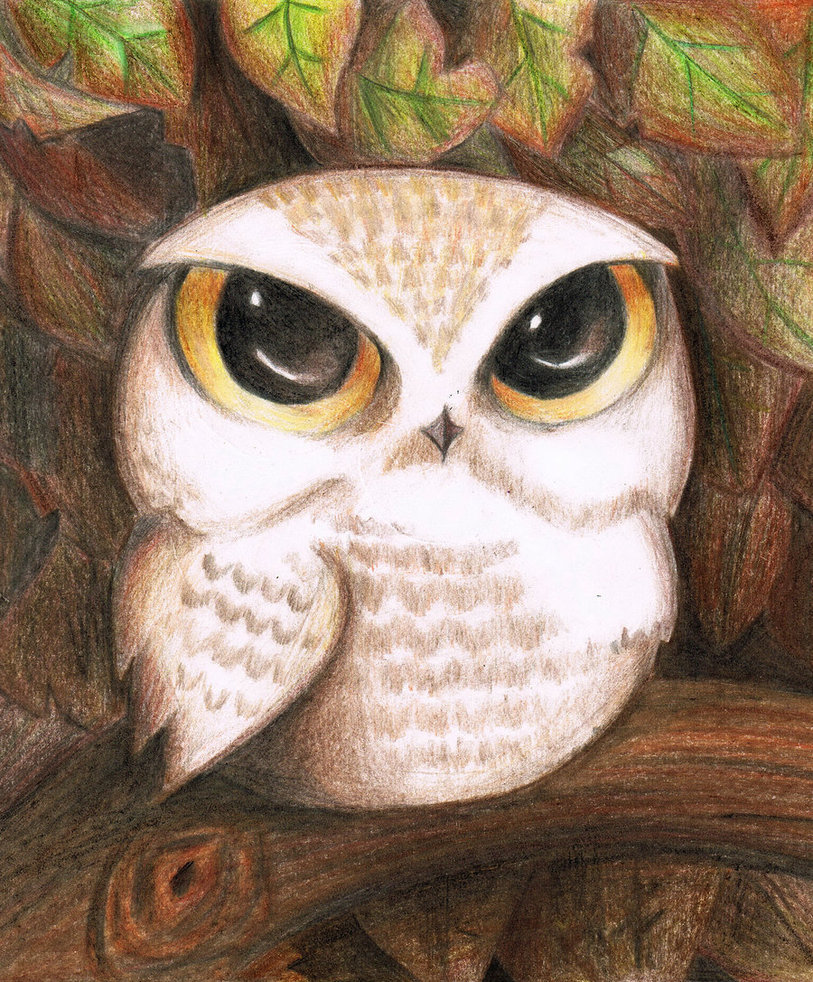 Owl Cute Drawing at GetDrawings Free download