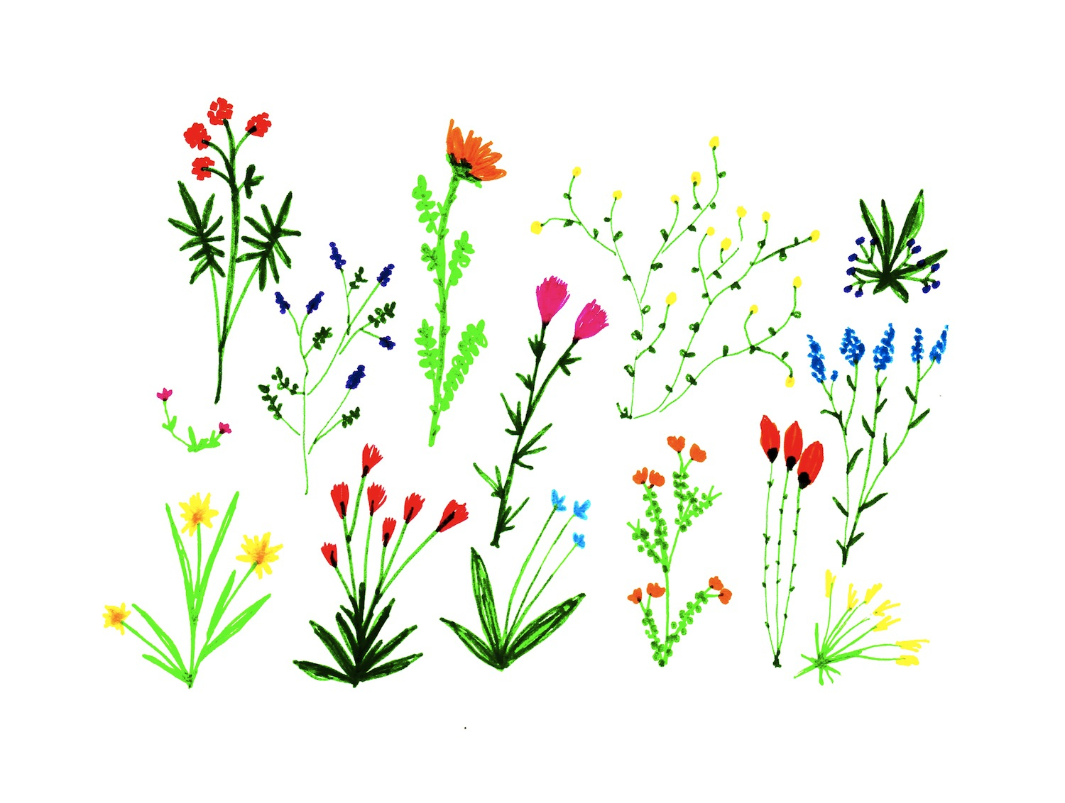 Small Flower Drawing at GetDrawings Free download