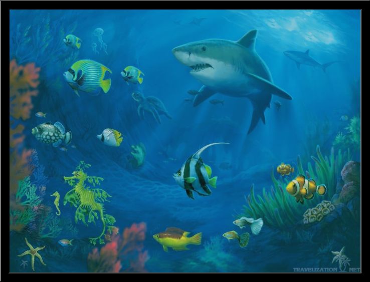 Underwater Drawing at GetDrawings Free download