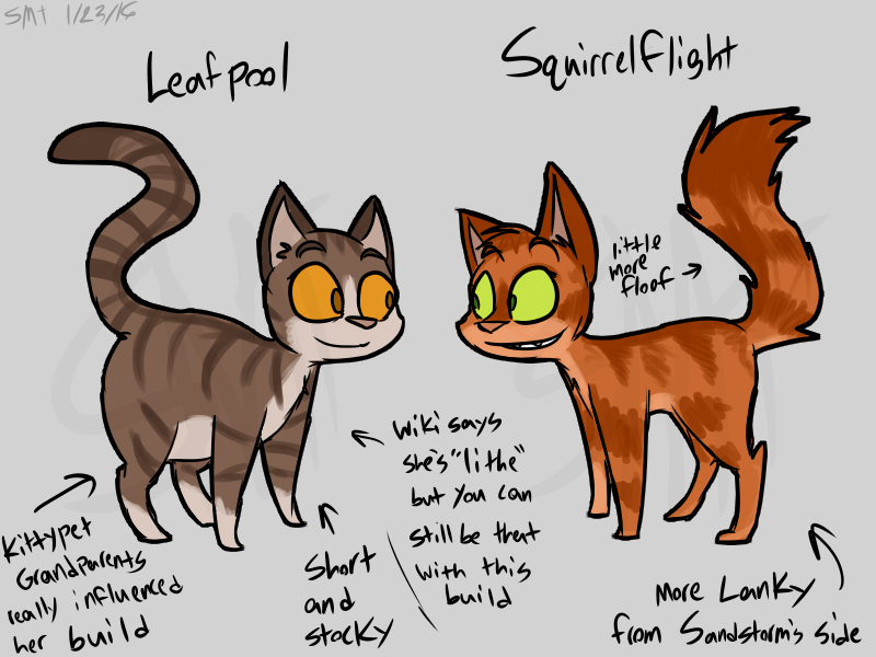 Warrior Cat Drawing Ideas at GetDrawings Free download