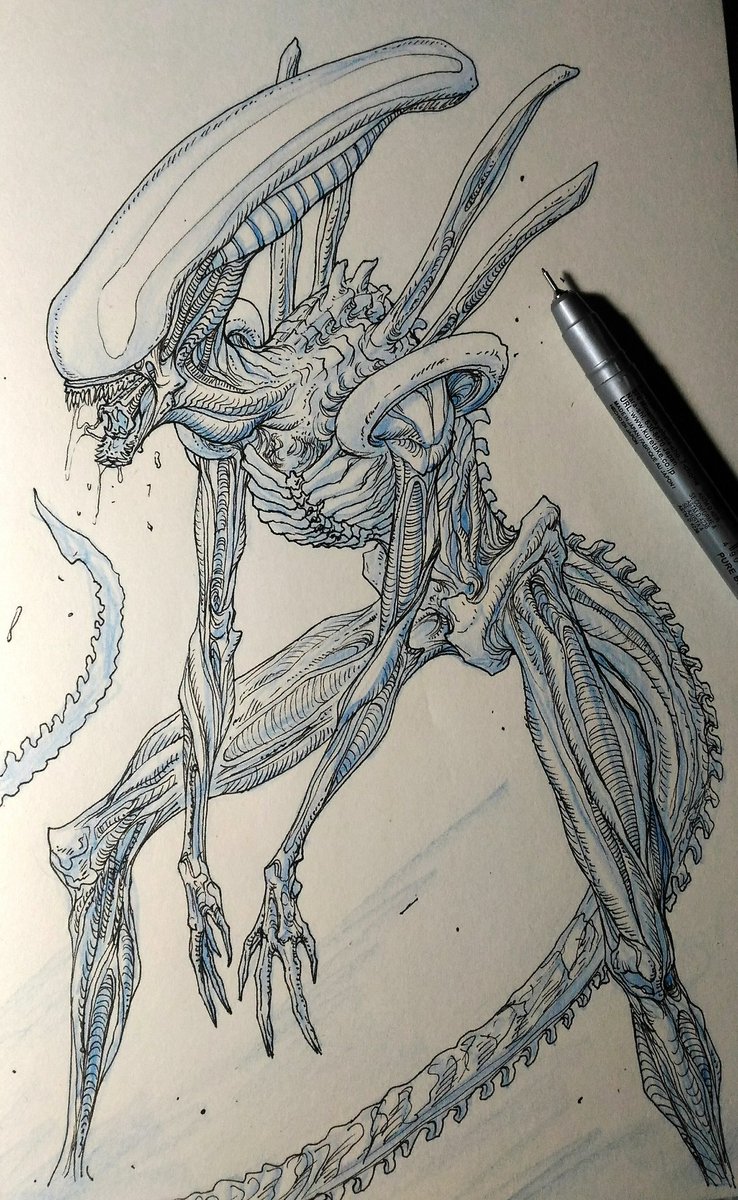 Xenomorph Drawing at GetDrawings Free download