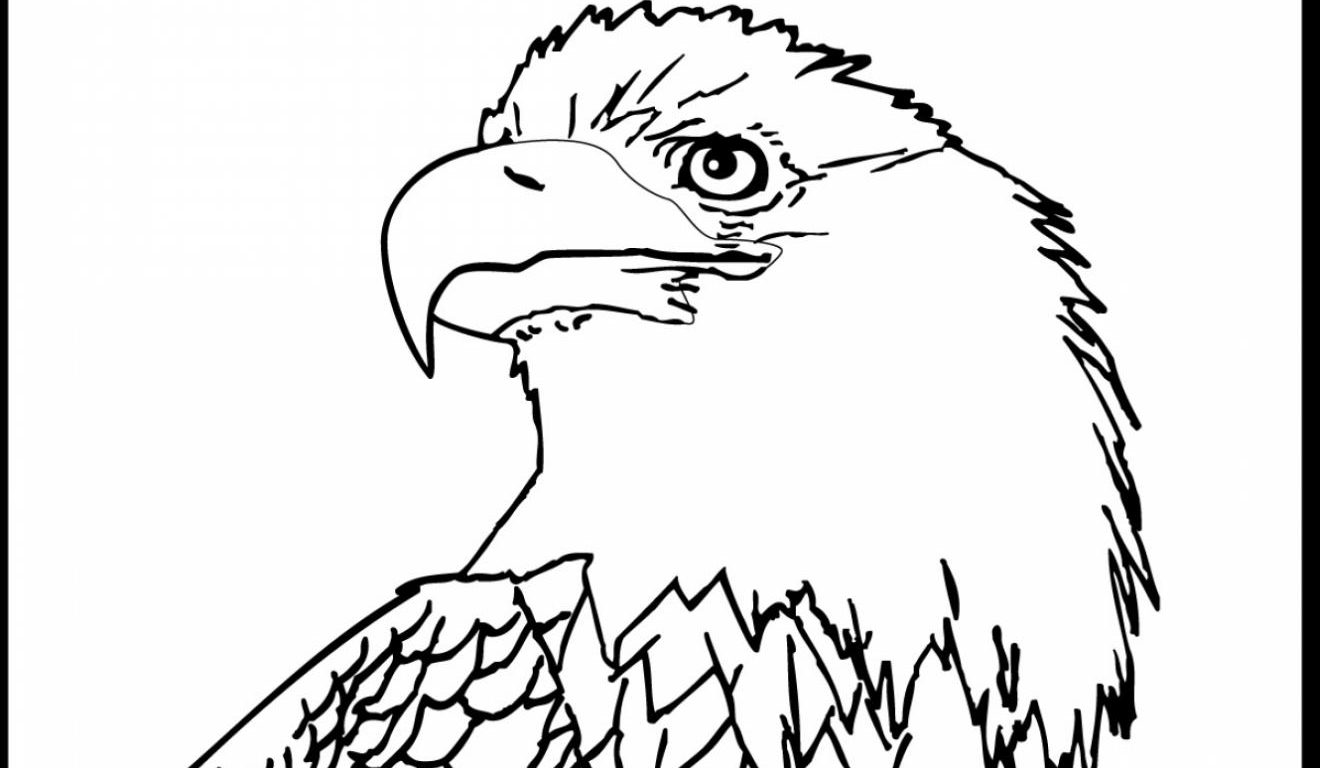 American Eagle Drawing at GetDrawings Free download