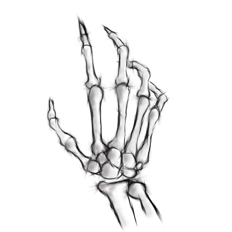 Bone Hand Drawing at GetDrawings Free download