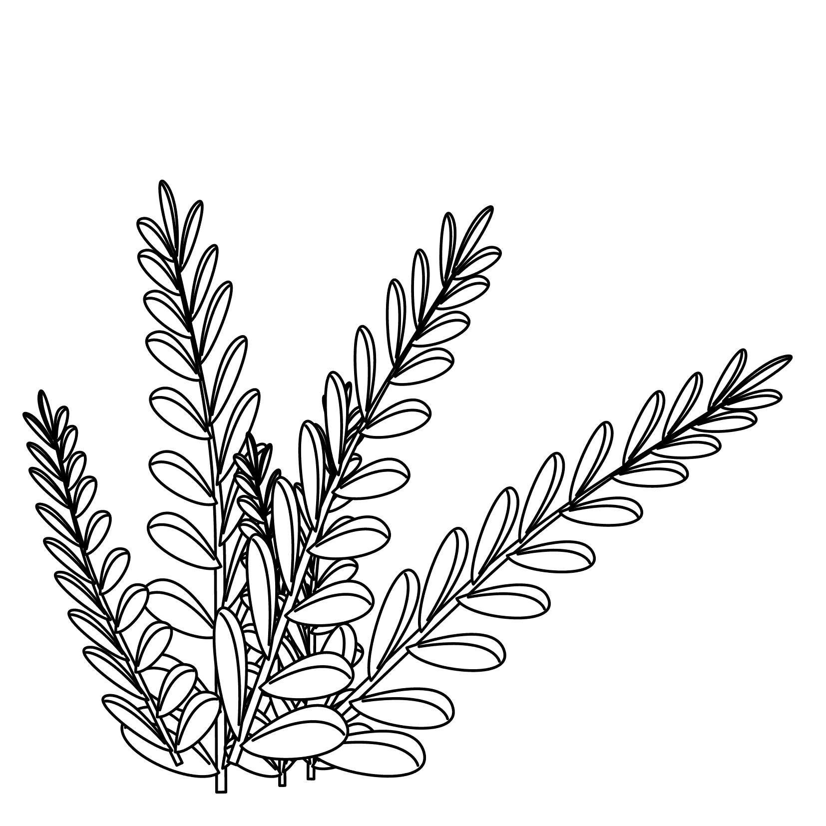 Bushes Drawing at GetDrawings Free download