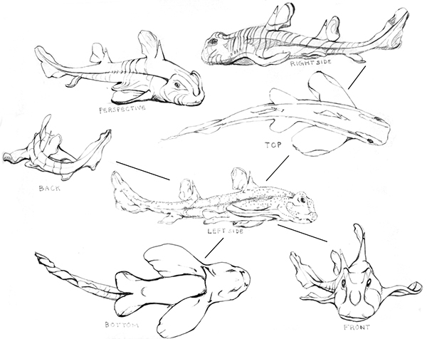 Define Drawing at GetDrawings Free download