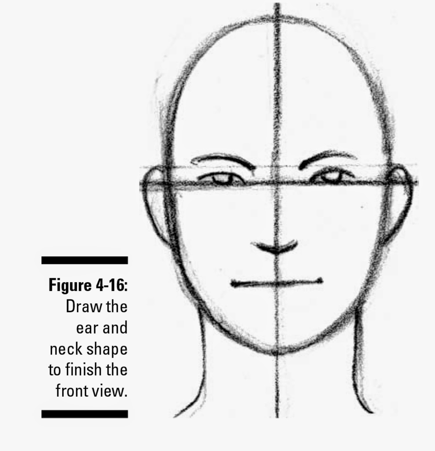 Face Proportion Drawing at GetDrawings Free download