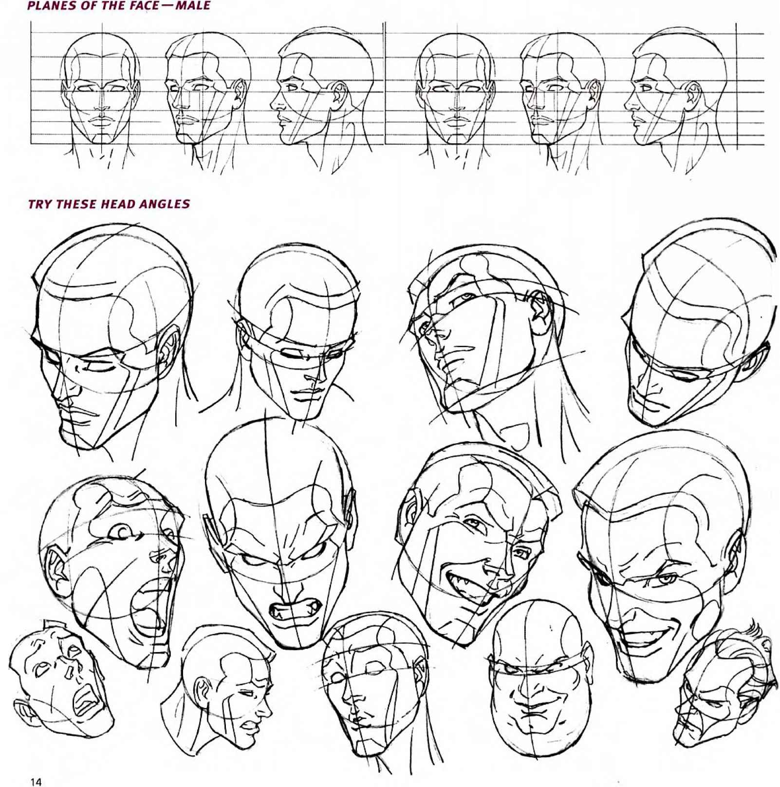Face Proportion Drawing at GetDrawings Free download