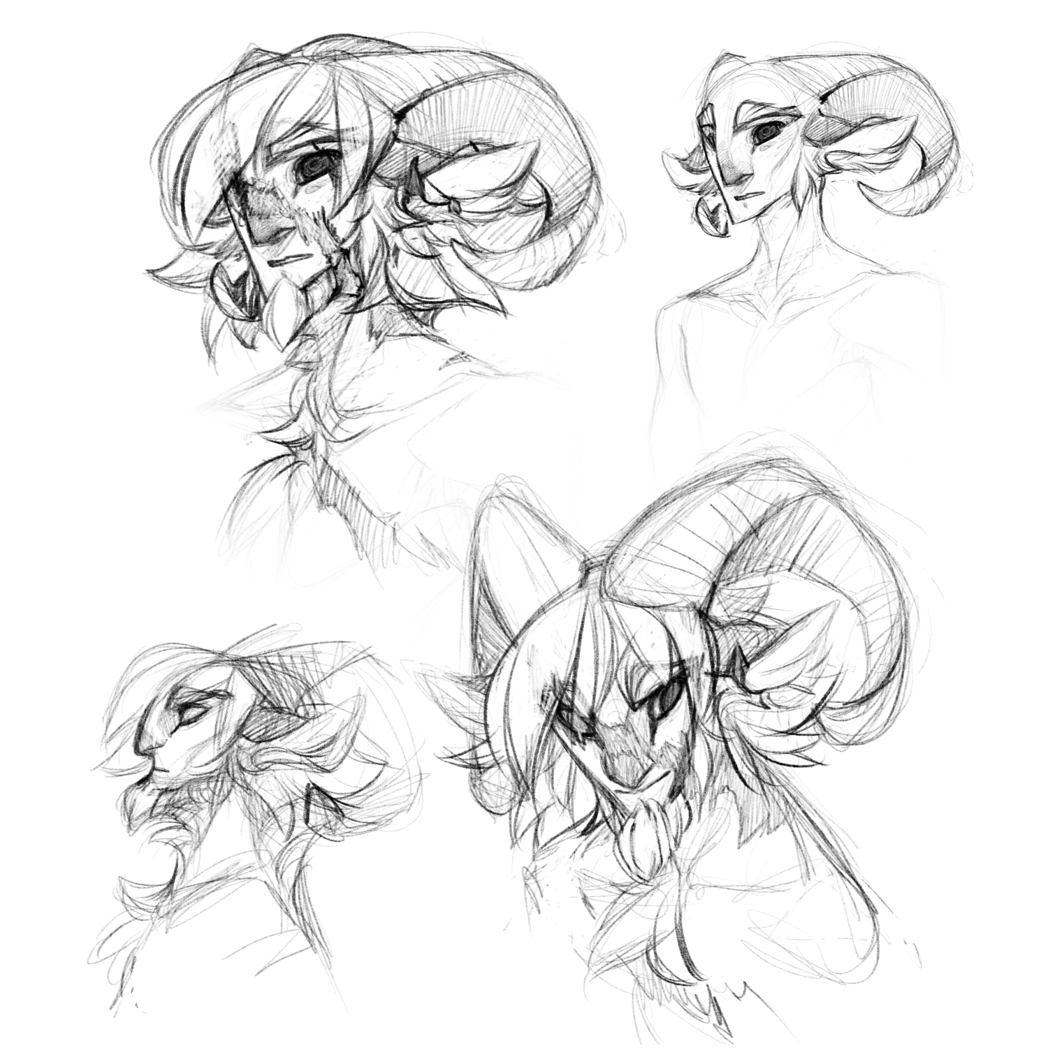 Head Reference Drawing at GetDrawings Free download