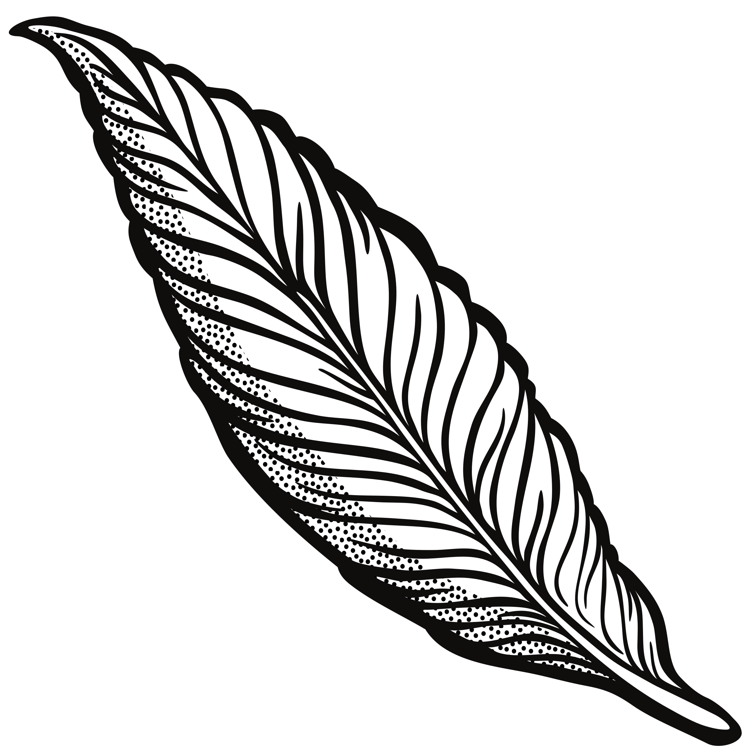 Line Drawing Feather at GetDrawings Free download