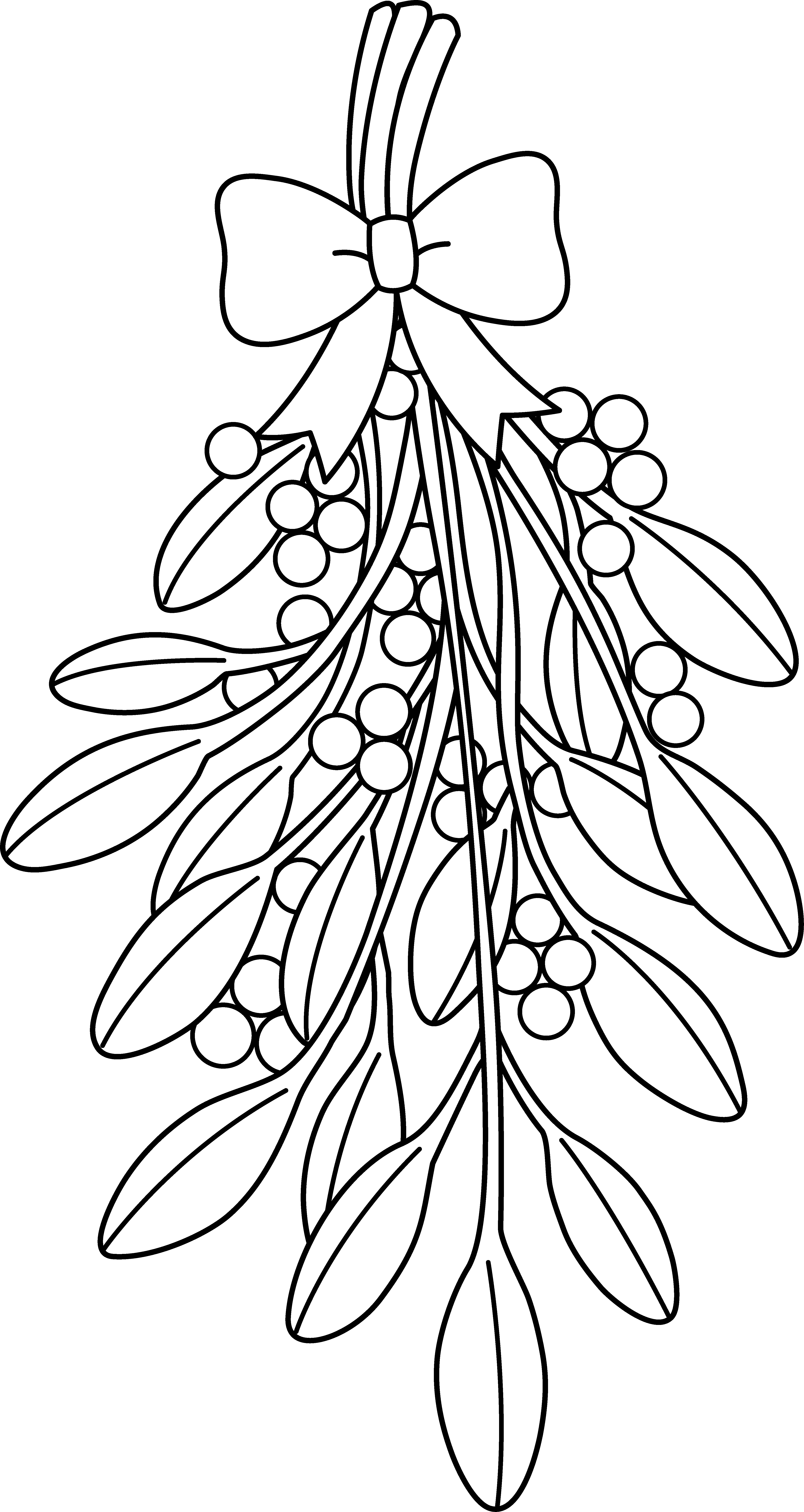 Mistletoe Drawing at GetDrawings Free download