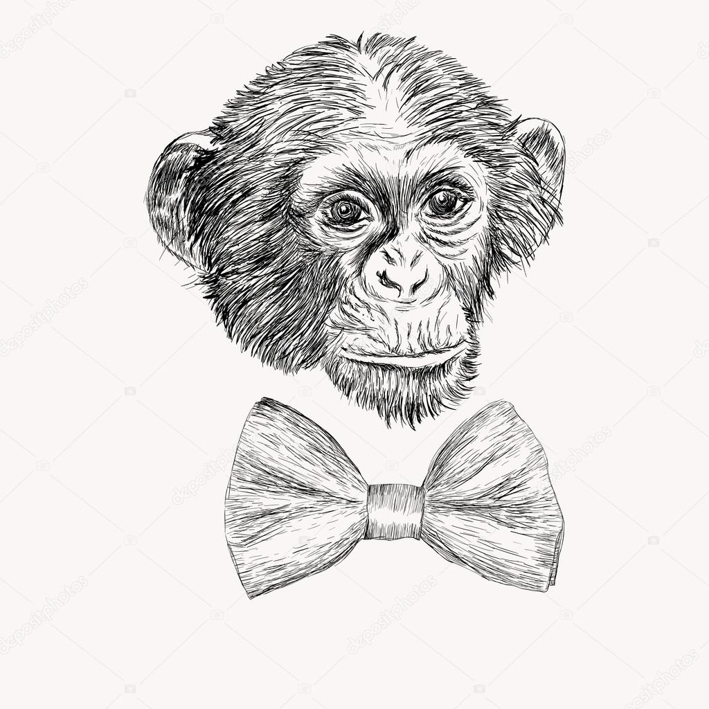 Monkey Face Drawing at GetDrawings Free download