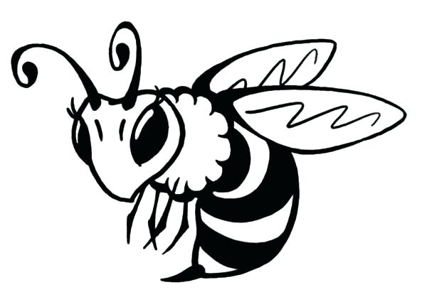 Queen Bee Drawing at GetDrawings Free download