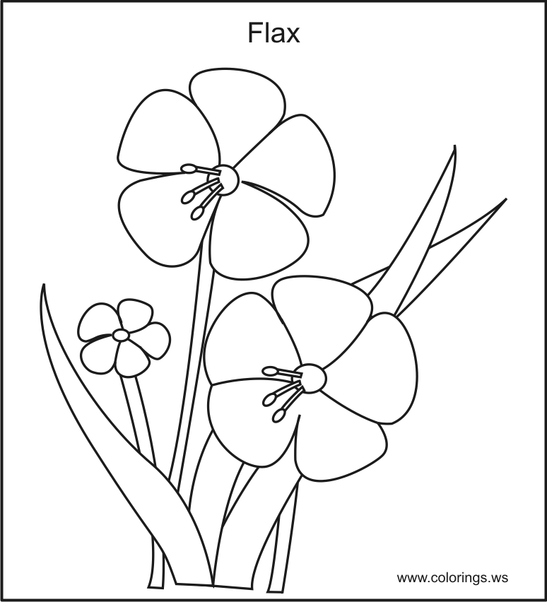 Violet Flower Drawing at GetDrawings Free download