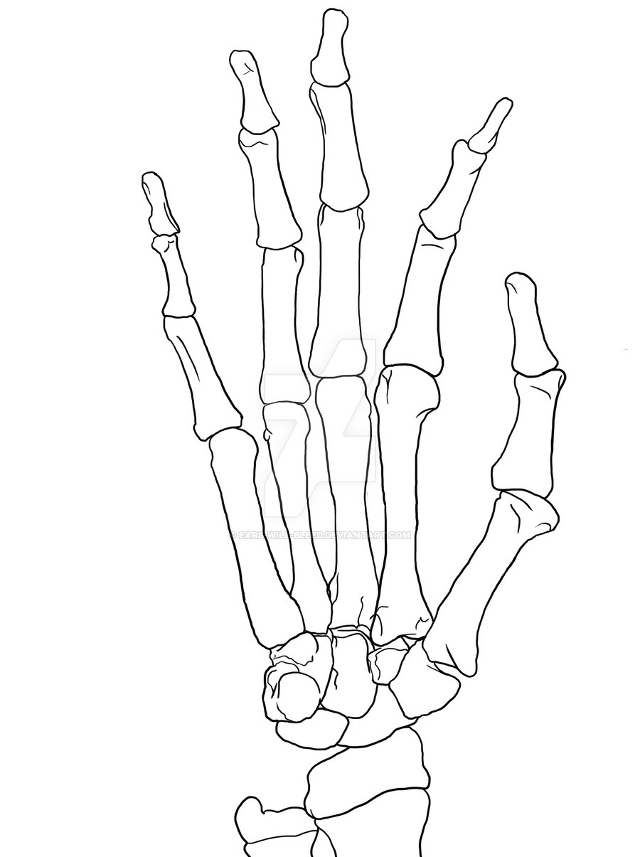 Skeleton Hand Drawing Tutorial at GetDrawings Free download