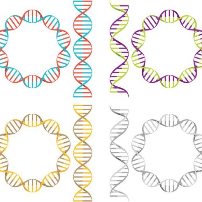 Dna Vector Illustrator at GetDrawings Free download