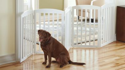 Freestanding Wooden Pet Gate Grandin Road