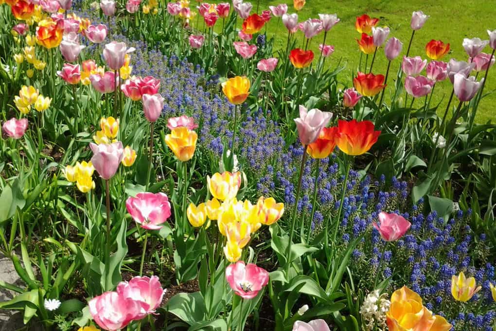 Southern Spring Home and Garden Show to feature big dames