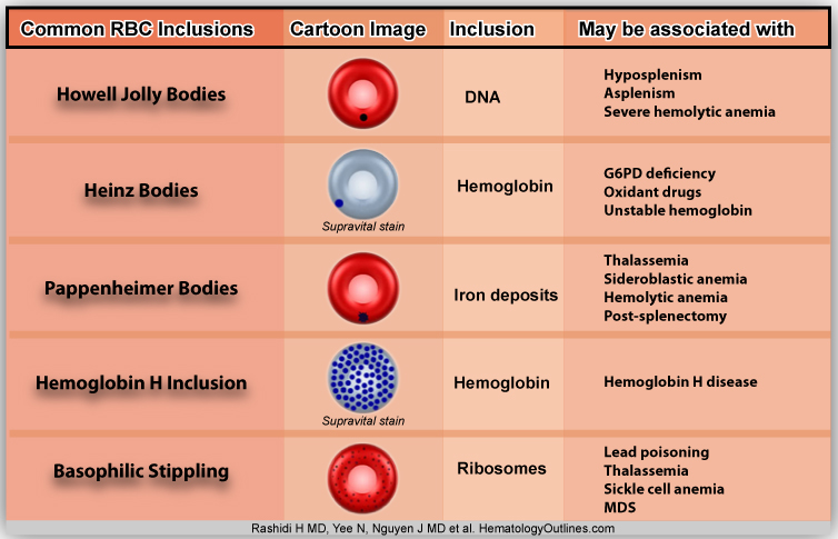 HematologyOutlines Atlas