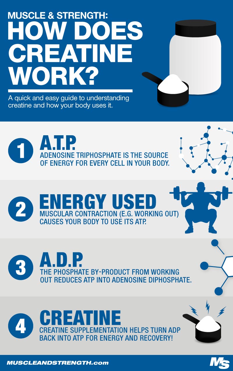 How Much Water Should I Drink While Taking Creatine?