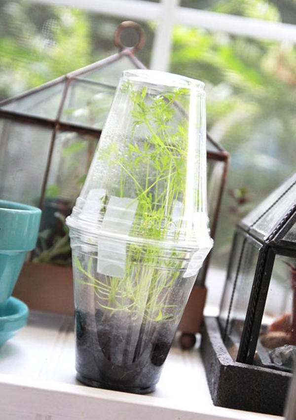 17 Fun And Easy Indoor Gardening For Kids HomeMydesign